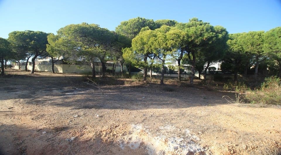 Terrain pour construction d'une villa près de Quinta do lago