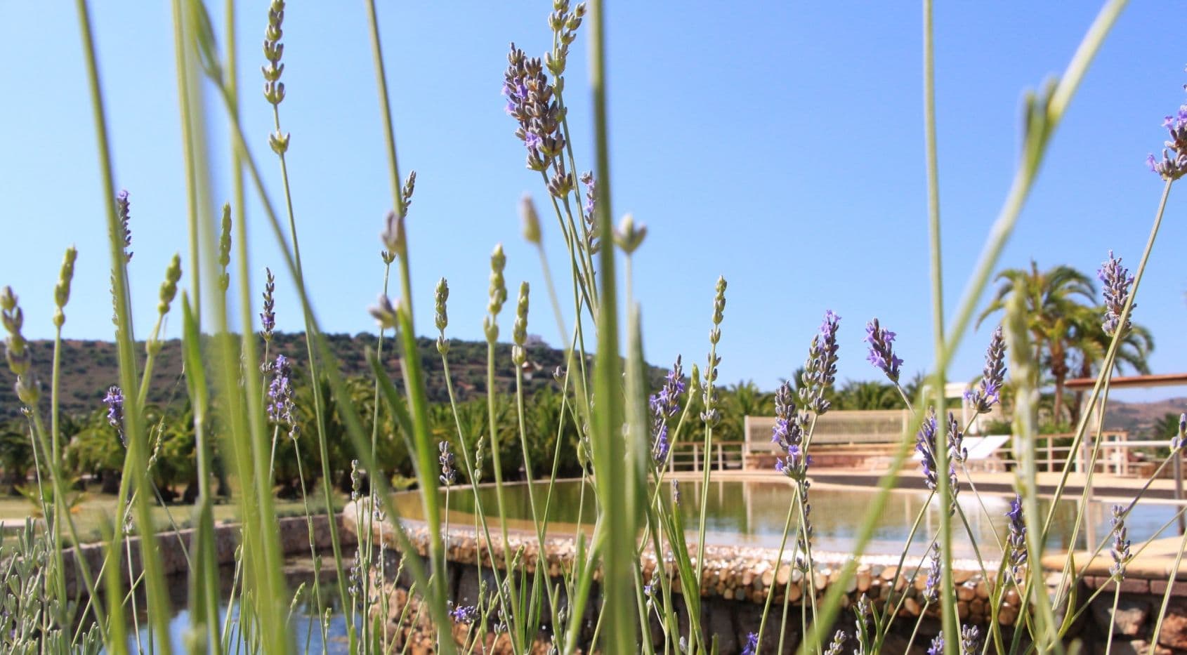 Luxe eigendom aan het water. 4,44 hectare. Gelegen aan de Arade rivier