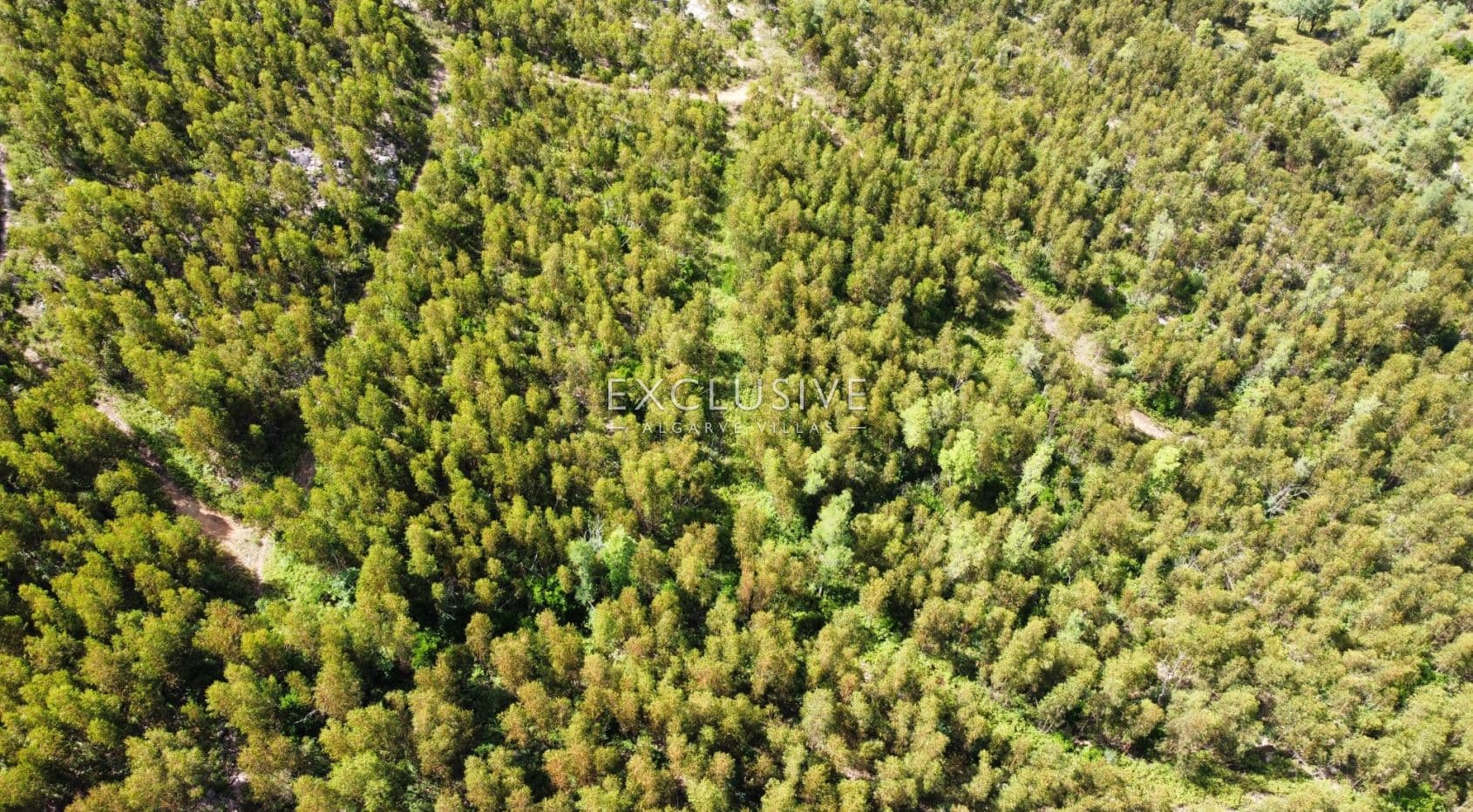 Exceptional plot with Sea views in Algarve, Monchique. Ruins and potential for touristic project