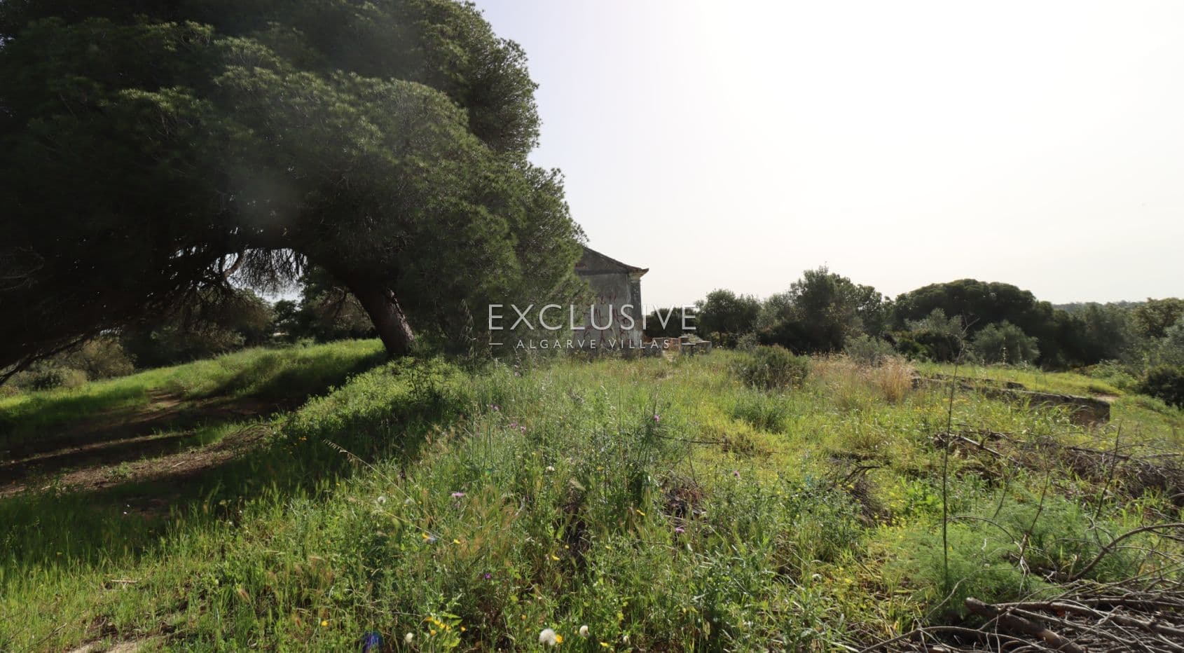 Large plot for construction with approved project, Lagoa, Algarve