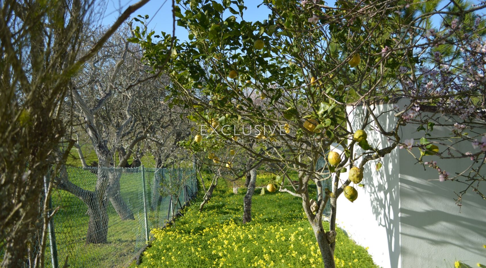 Stunning views plot by the golf course in Boavista - Lagos