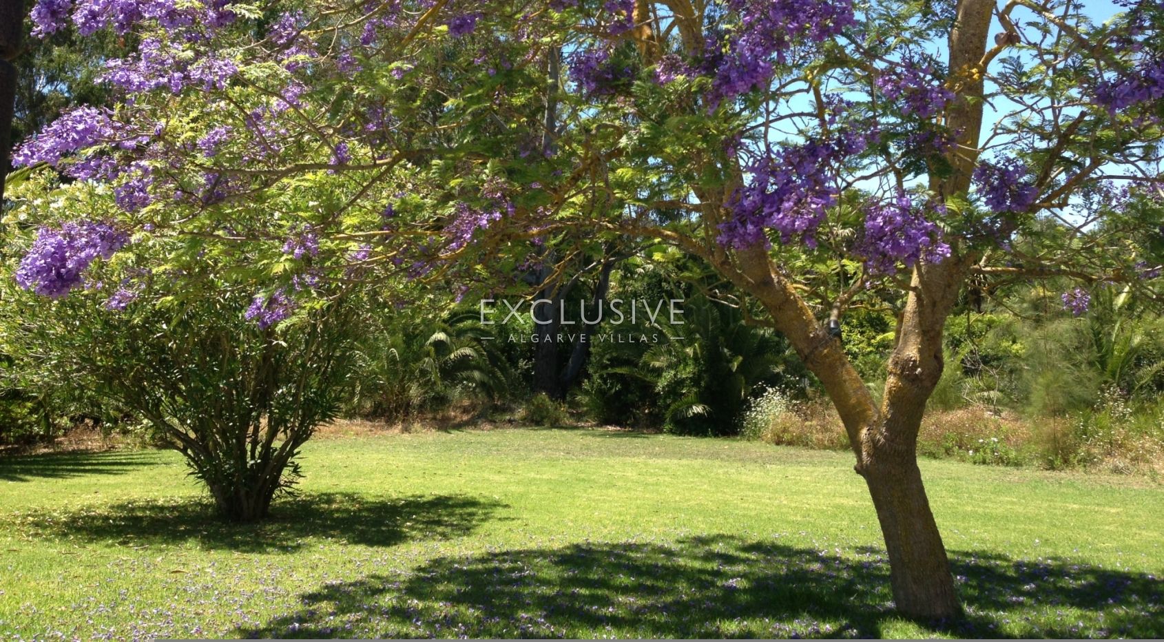 5 bedroom villa with pool in large grounds on Penina Golfcourse near Alvor