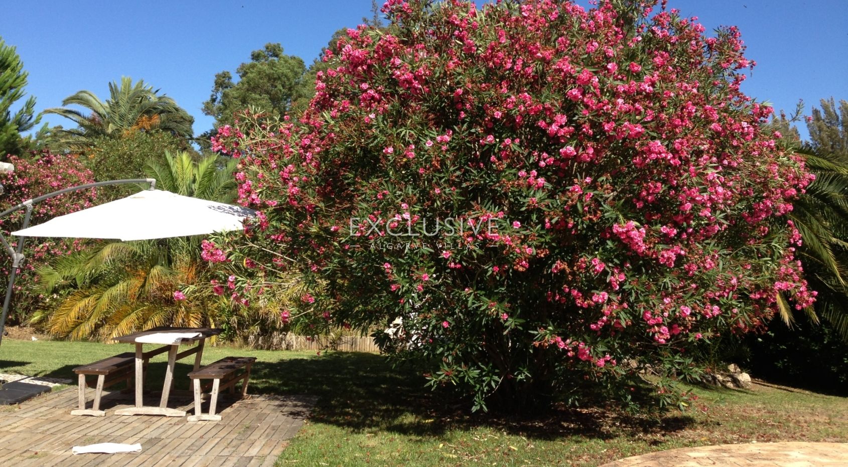 5 bedroom villa with pool in large grounds on Penina Golfcourse near Alvor