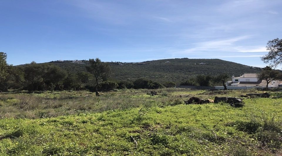 Grande parcelle de terrain pour la construction dans Loule