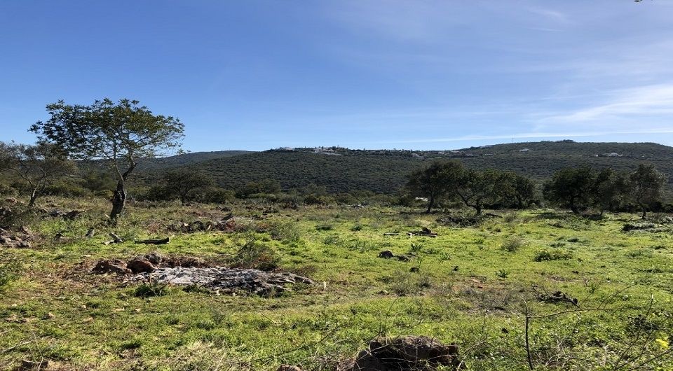 Grande parcelle de terrain pour la construction dans Loule