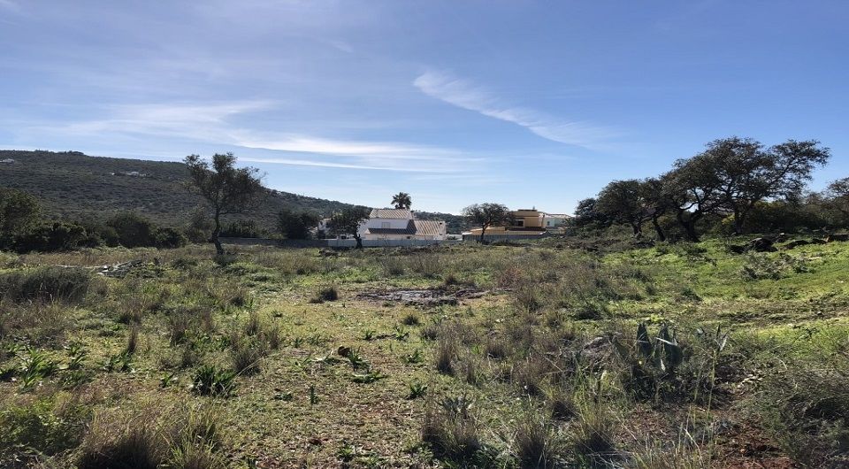 Grande parcelle de terrain pour la construction dans Loule
