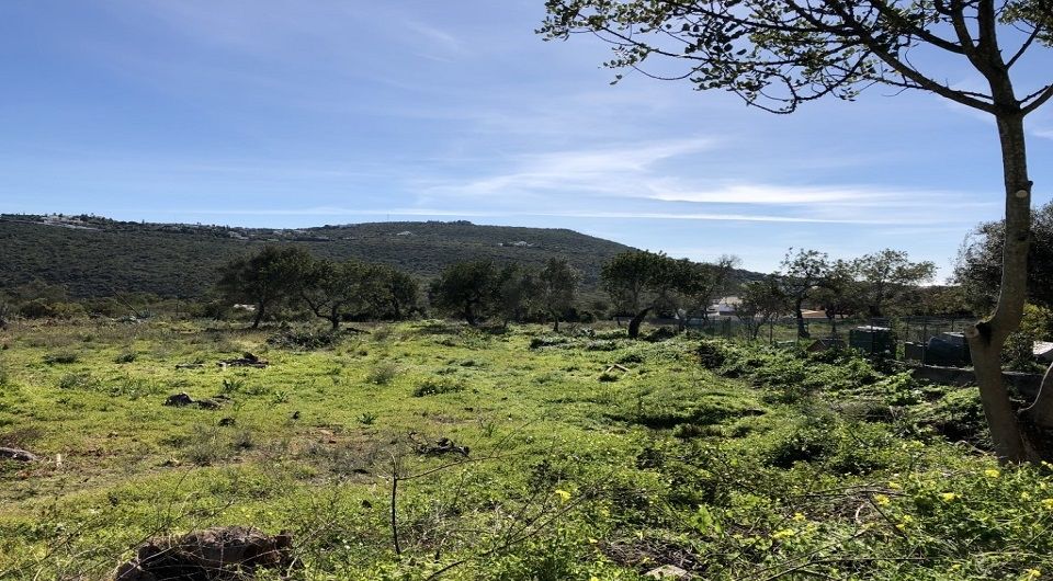 Grande parcelle de terrain pour la construction dans Loule