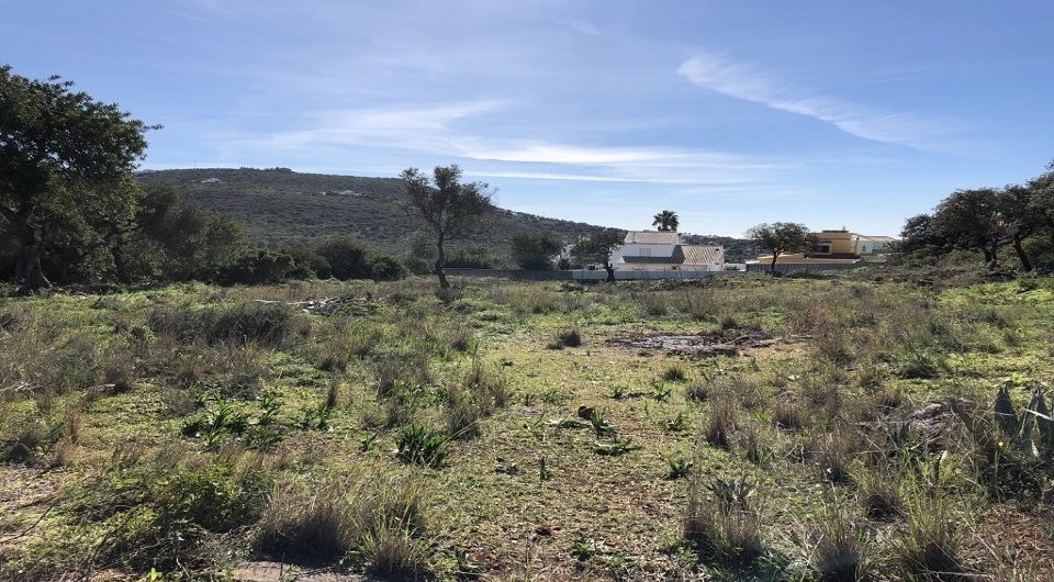 Grande parcelle de terrain pour la construction dans Loule
