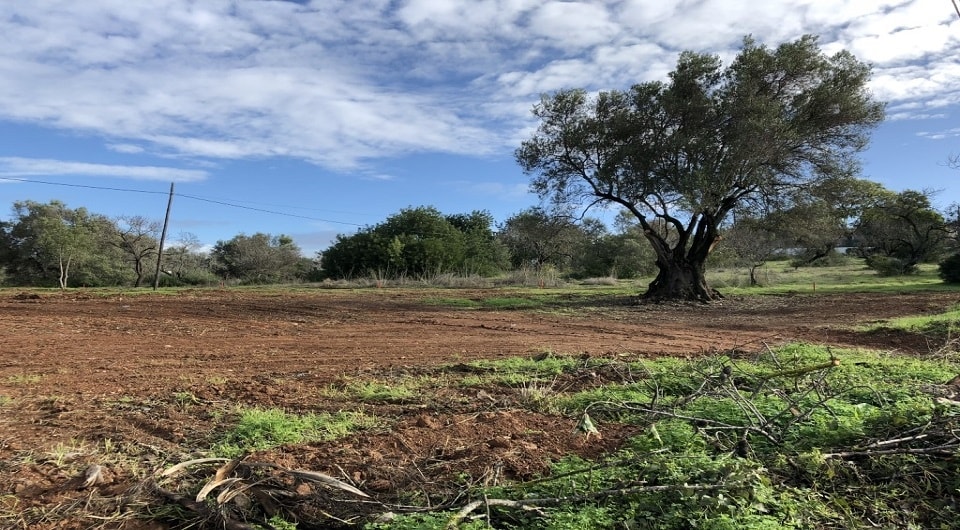 Plot for construction of two townhouses very close to Vilamoura, Loulé