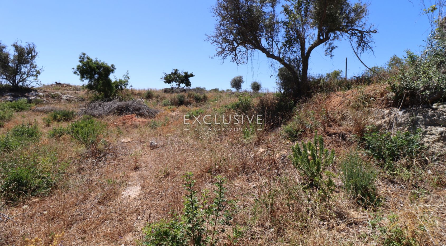 Plot in new urbanization by Presa da Moura, Carvoeiro