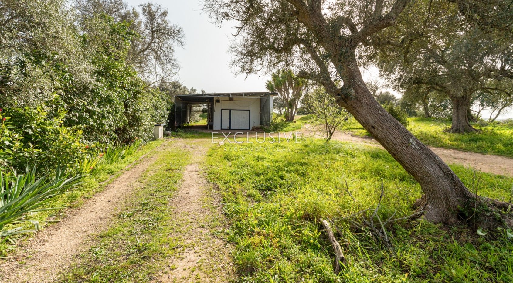 Fantastic plot with small house Portimao, Algarve