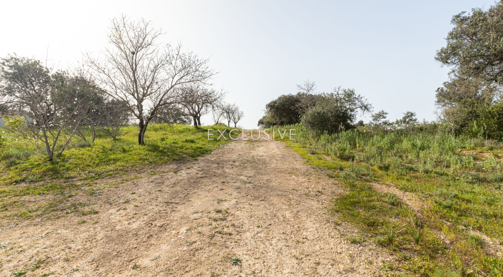 Fantastic plot with small house Portimao, Algarve
