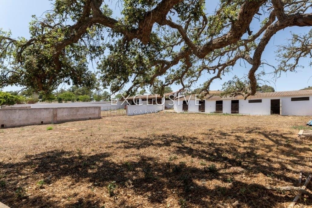 Excellent investment opportunity in the countryside large villa on large grounds, Lagos