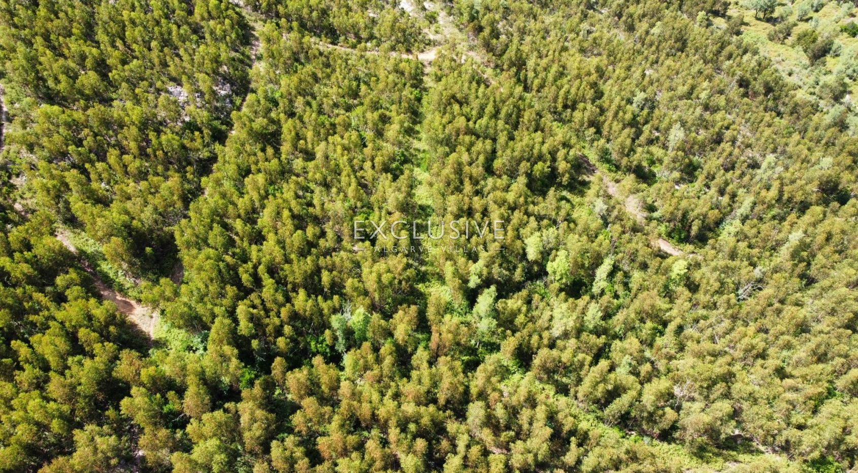 Exceptional plot with Sea views in Algarve, Monchique. Ruins and potential for touristic project