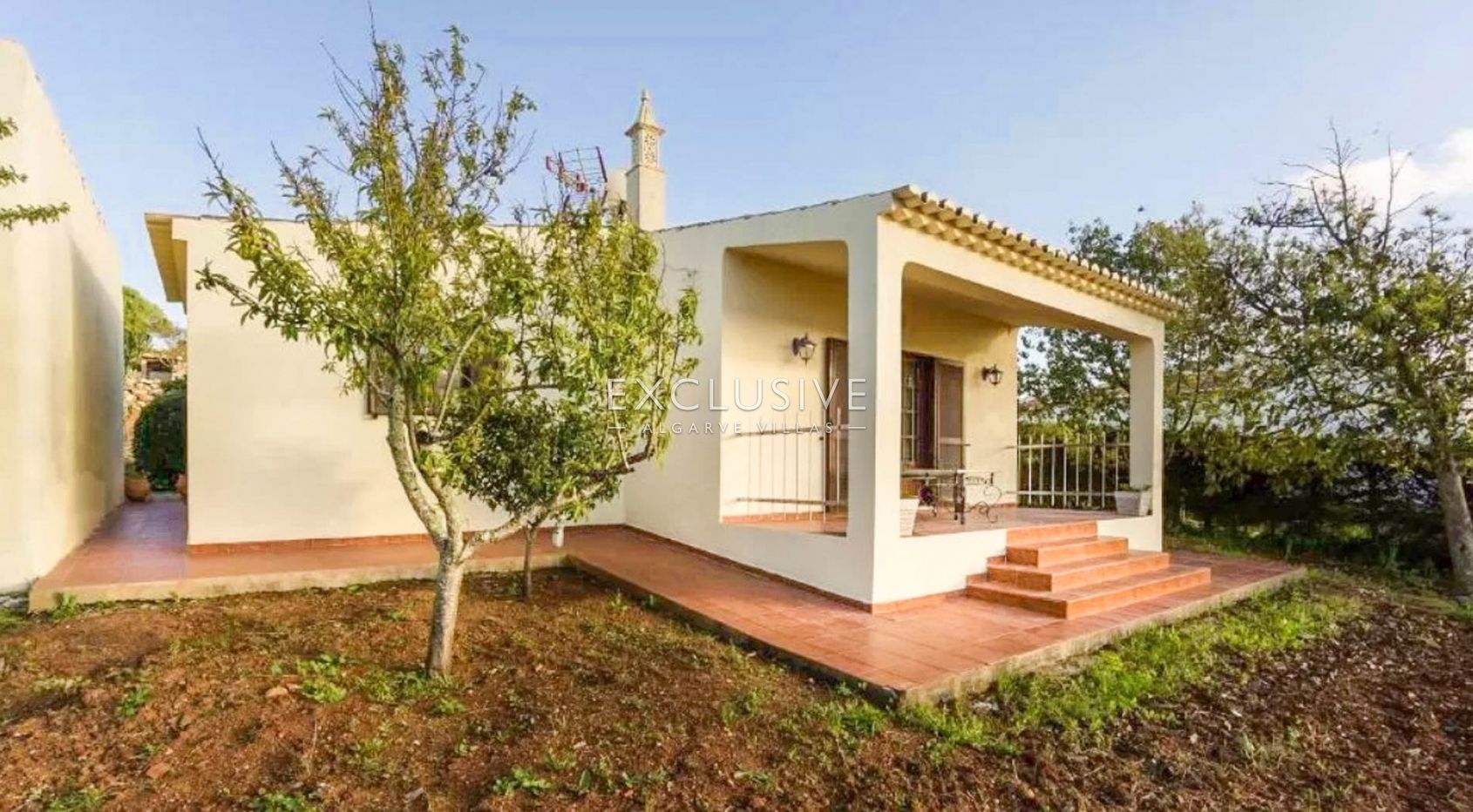 Vineyard by Praia da Luz, Lagos, Algarve