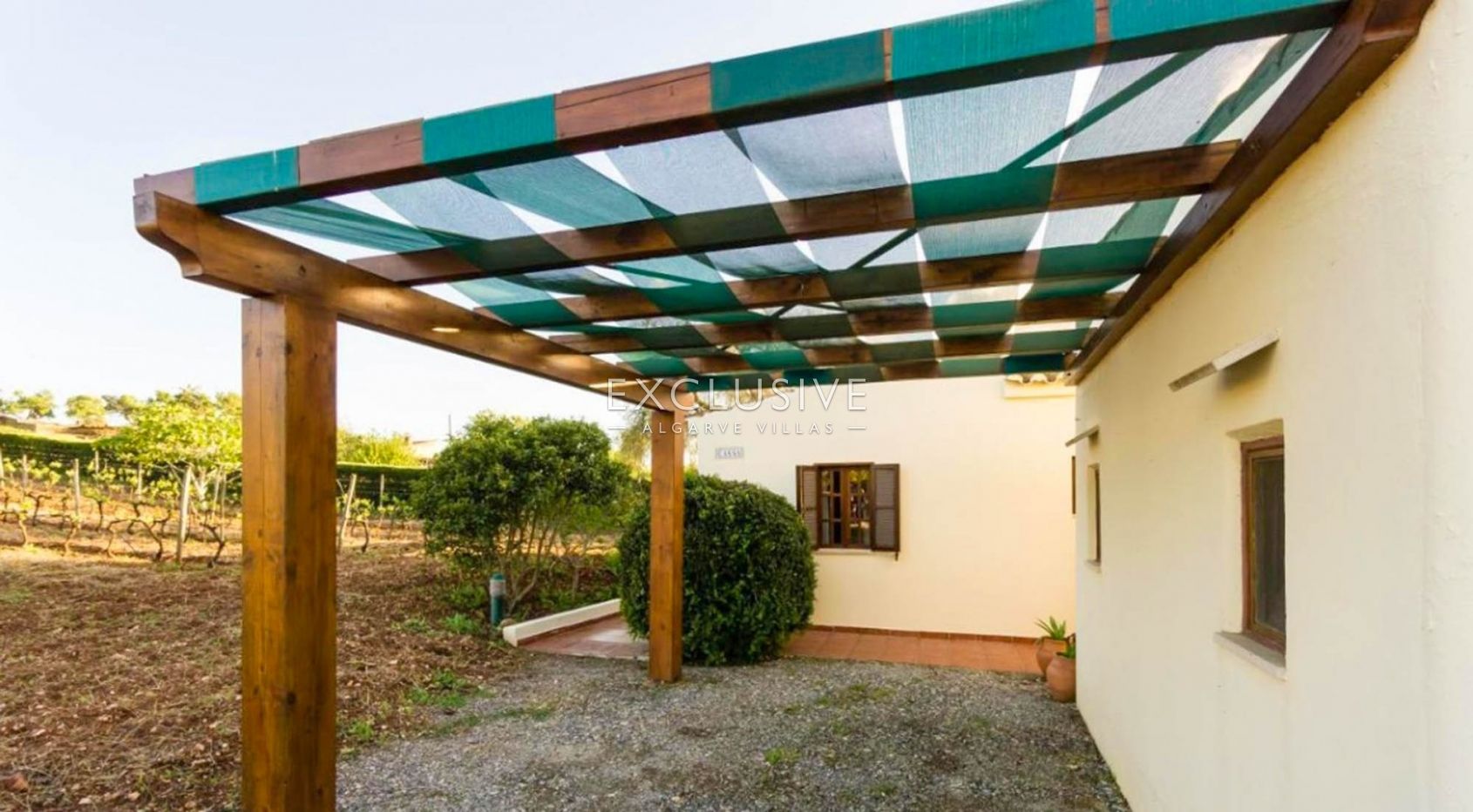 Vineyard by Praia da Luz, Lagos, Algarve