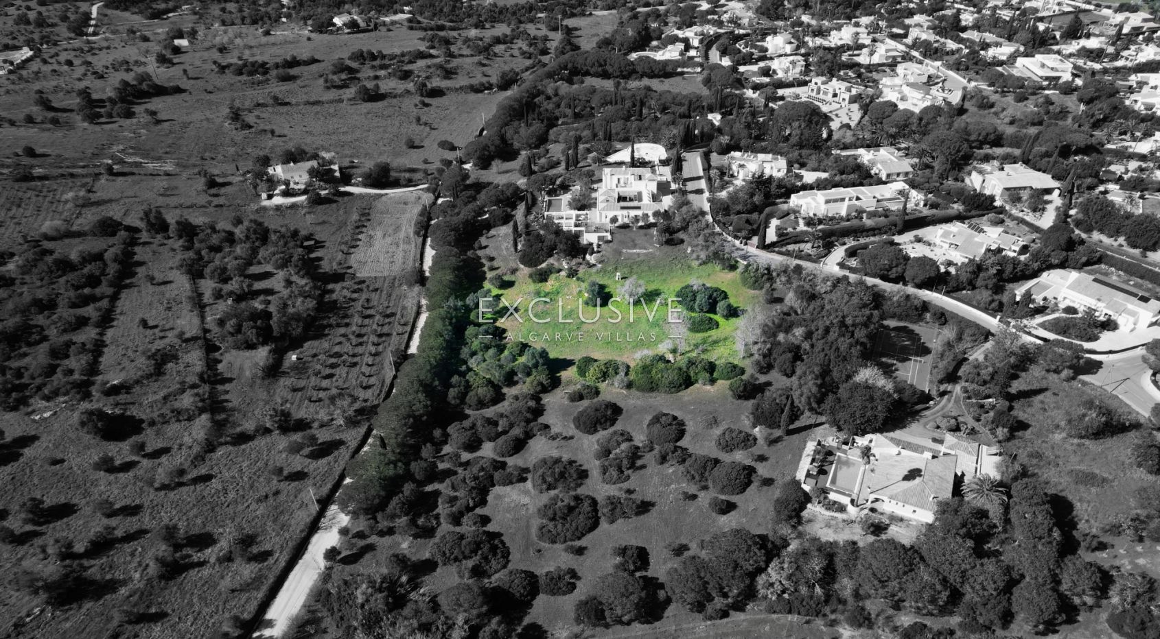 Prime Plot in Salicos, Carvoeiro - 6,440m² with Mature Trees &amp; Development Potential