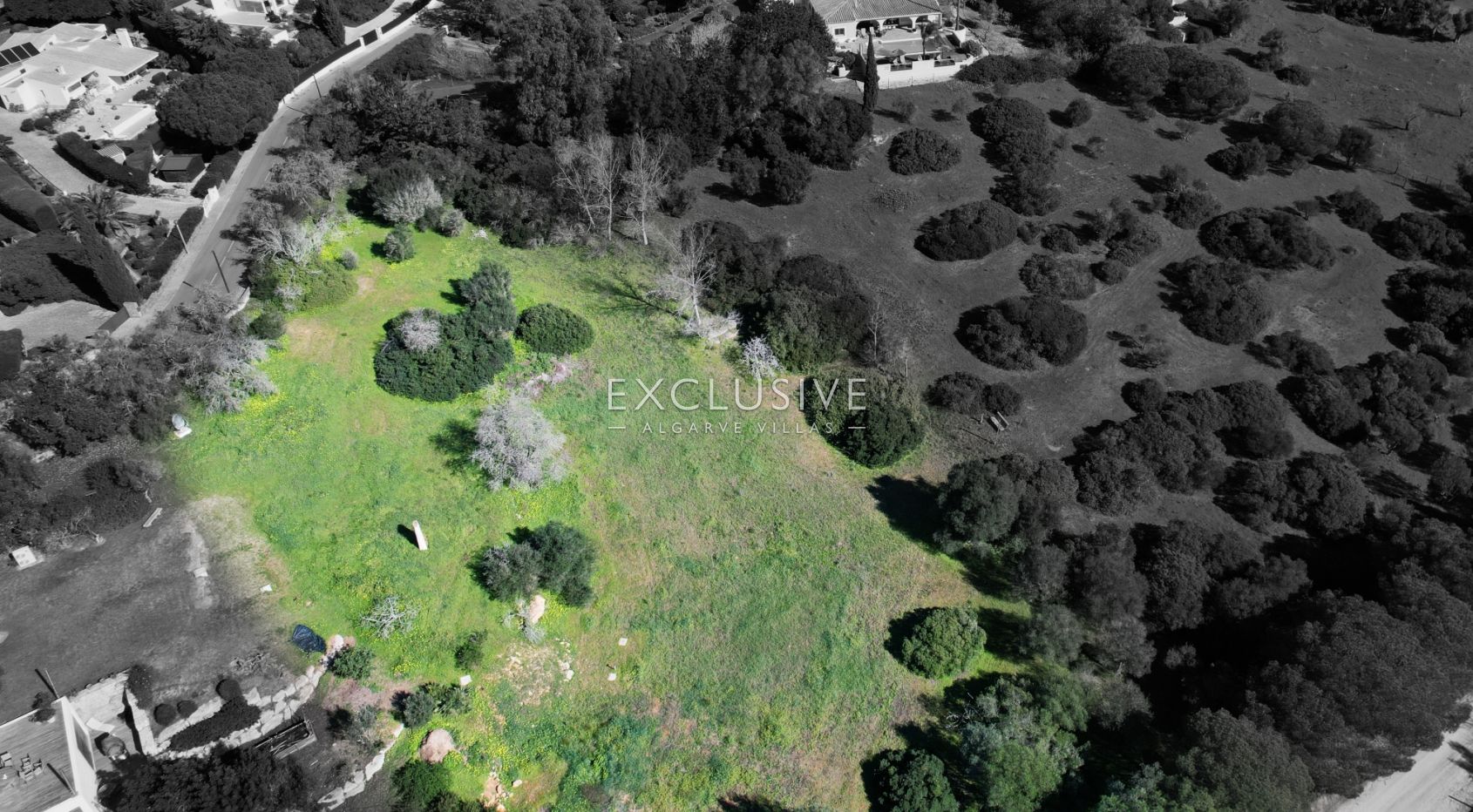 Prime Plot in Salicos, Carvoeiro - 6,440m² with Mature Trees &amp; Development Potential