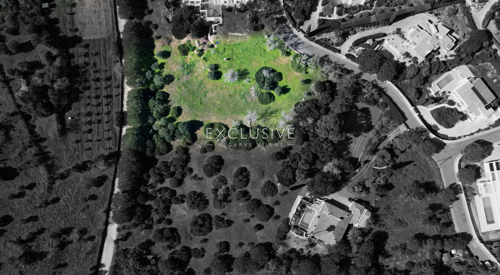 Prime Plot in Salicos, Carvoeiro - 6,440m² with Mature Trees &amp; Development Potential