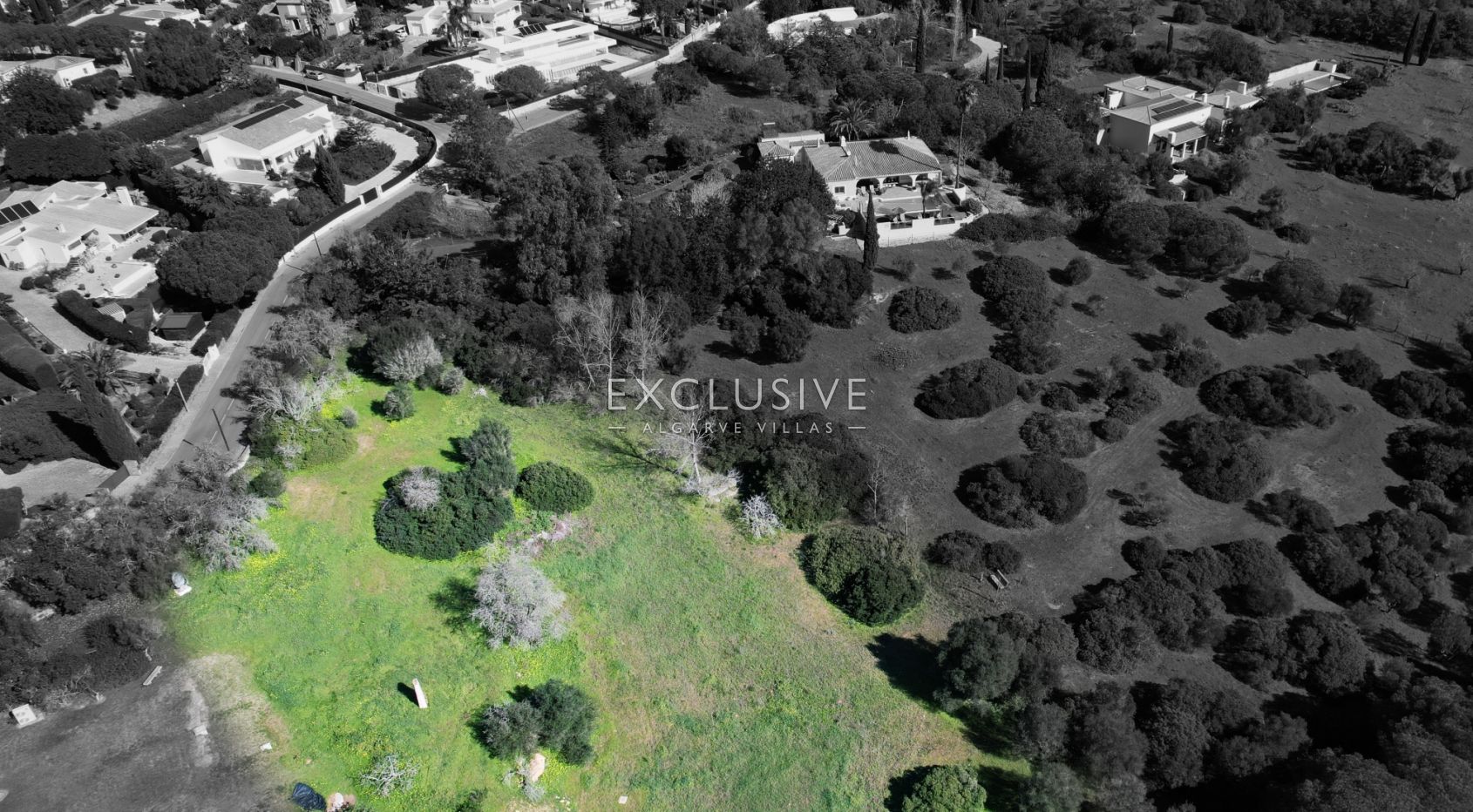 Prime Plot in Salicos, Carvoeiro - 6,440m² with Mature Trees &amp; Development Potential