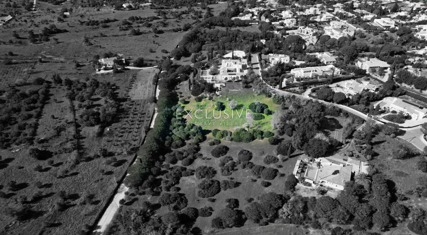 Prime Plot in Salicos, Carvoeiro - 6,440m² with Mature Trees &amp; Development Potential