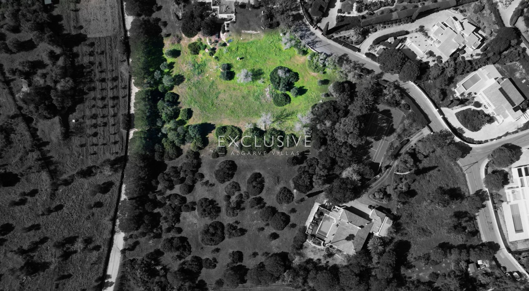Prime Plot in Salicos, Carvoeiro - 6,440m² with Mature Trees &amp; Development Potential
