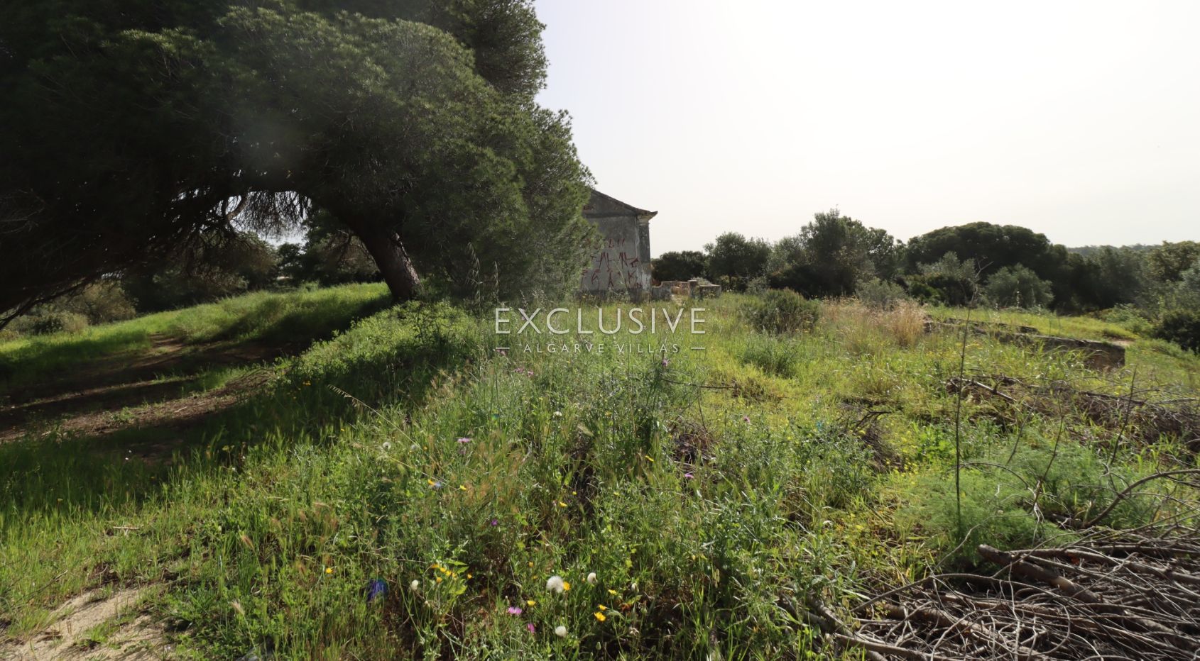 Groot bouwperceel met goedgekeurd project, Lagoa, Algarve