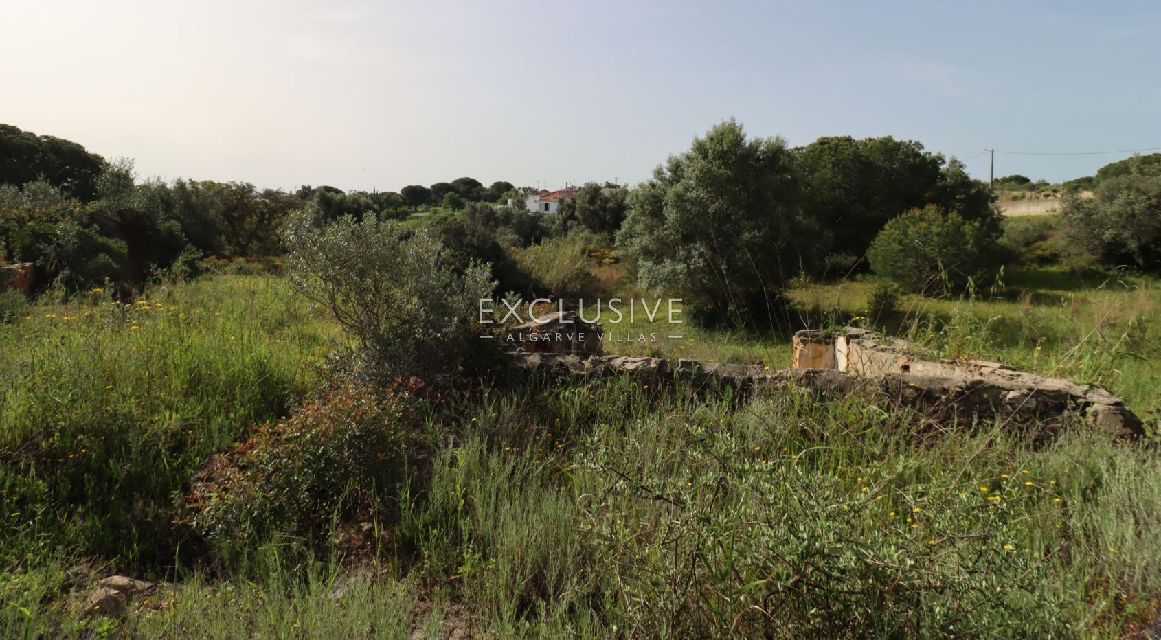 Groot bouwperceel met goedgekeurd project, Lagoa, Algarve