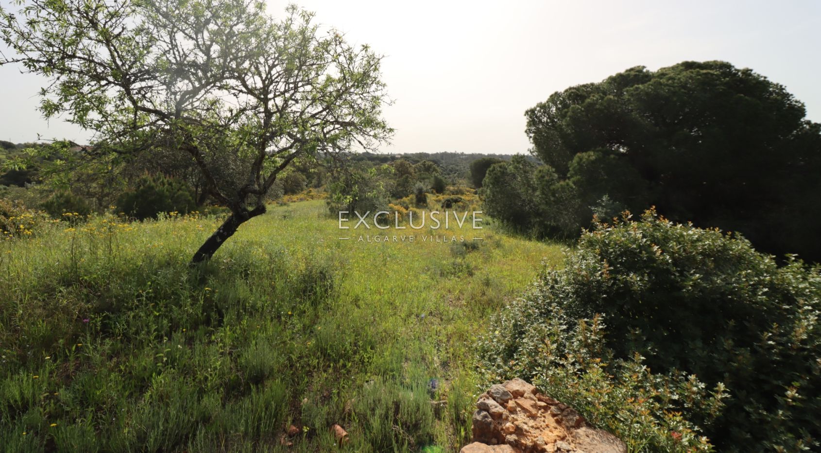 Groot bouwperceel met goedgekeurd project, Lagoa, Algarve