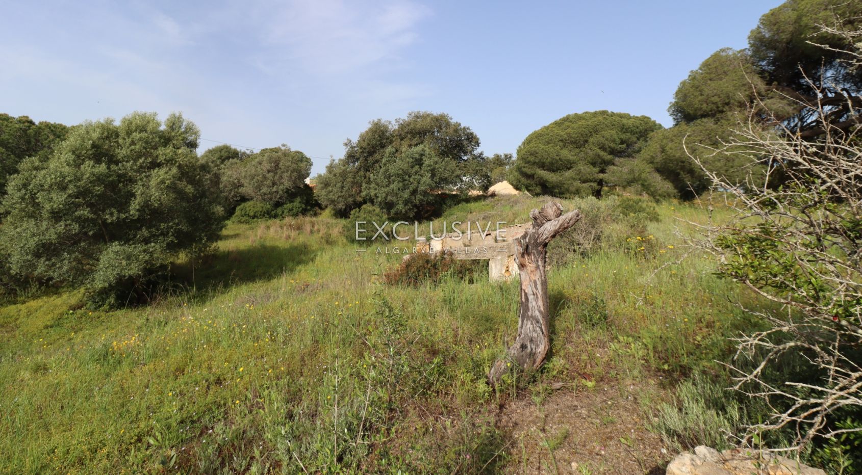 Groot bouwperceel met goedgekeurd project, Lagoa, Algarve