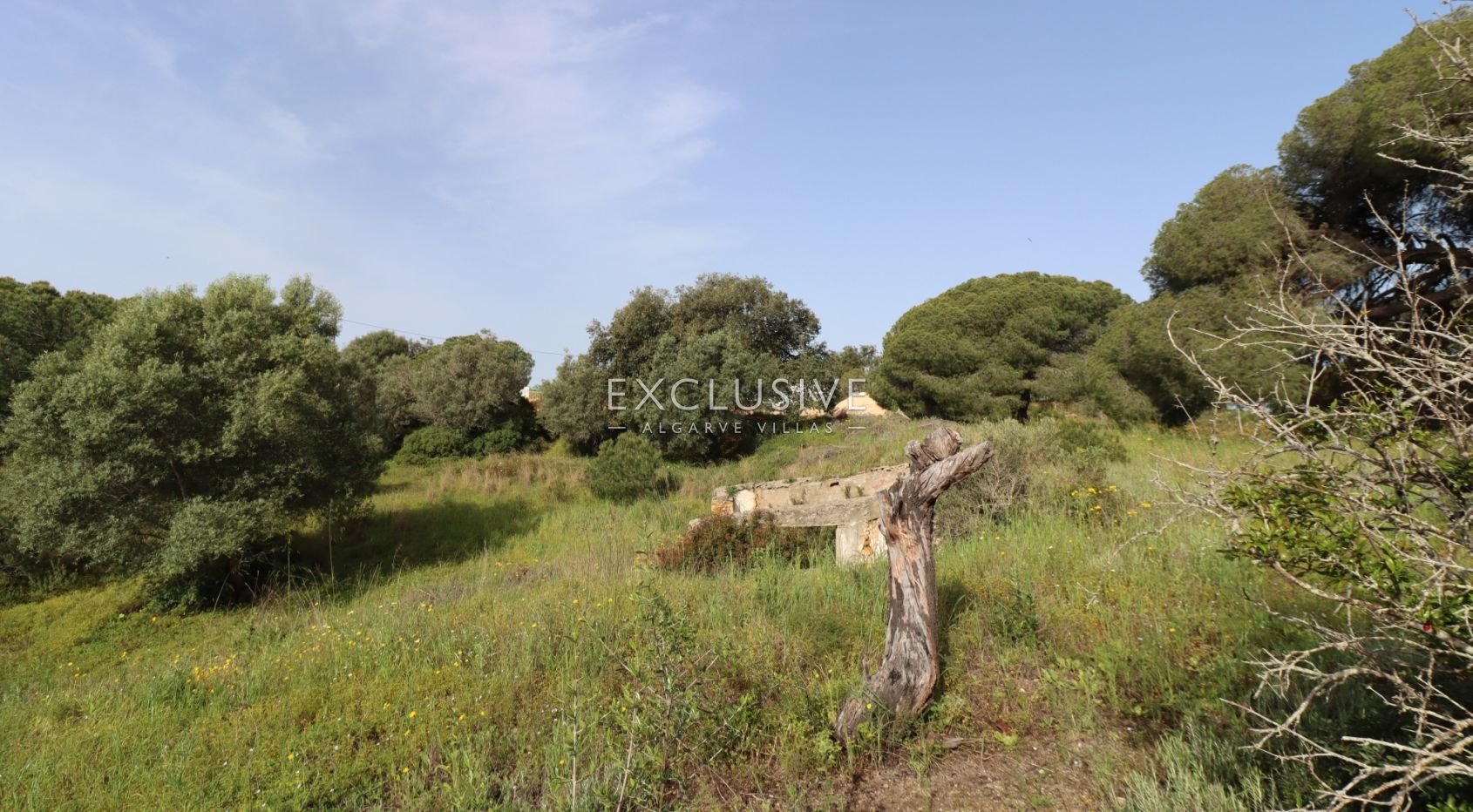 Groot bouwperceel met goedgekeurd project, Lagoa, Algarve
