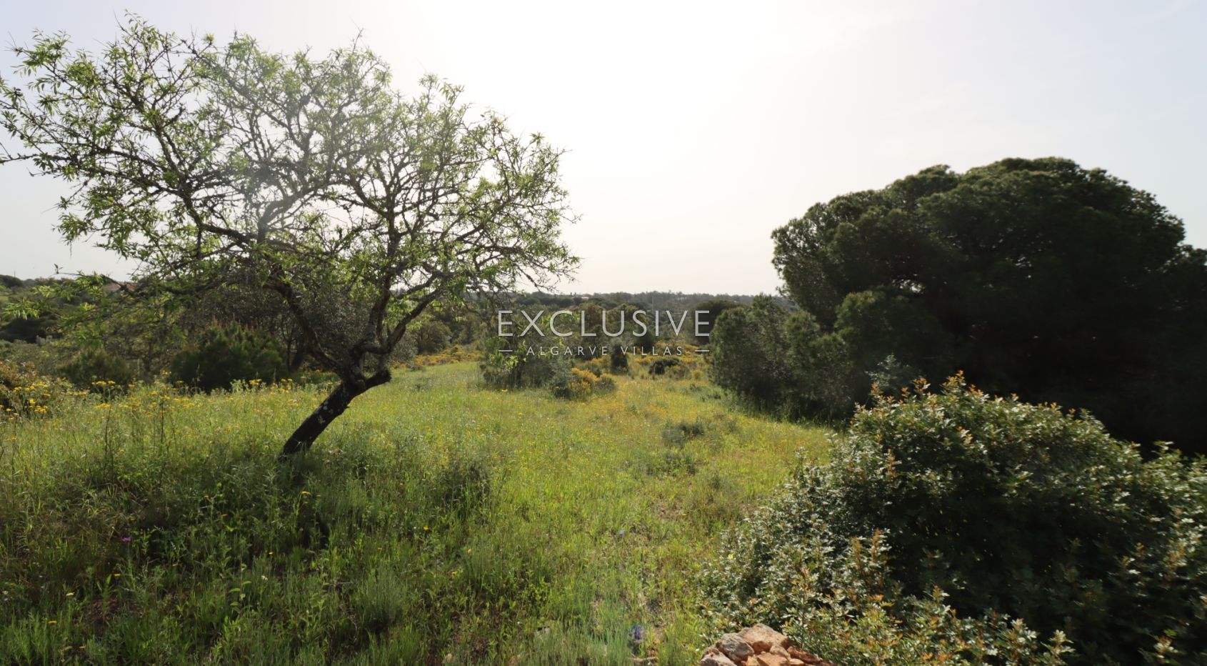 Groot bouwperceel met goedgekeurd project, Lagoa, Algarve