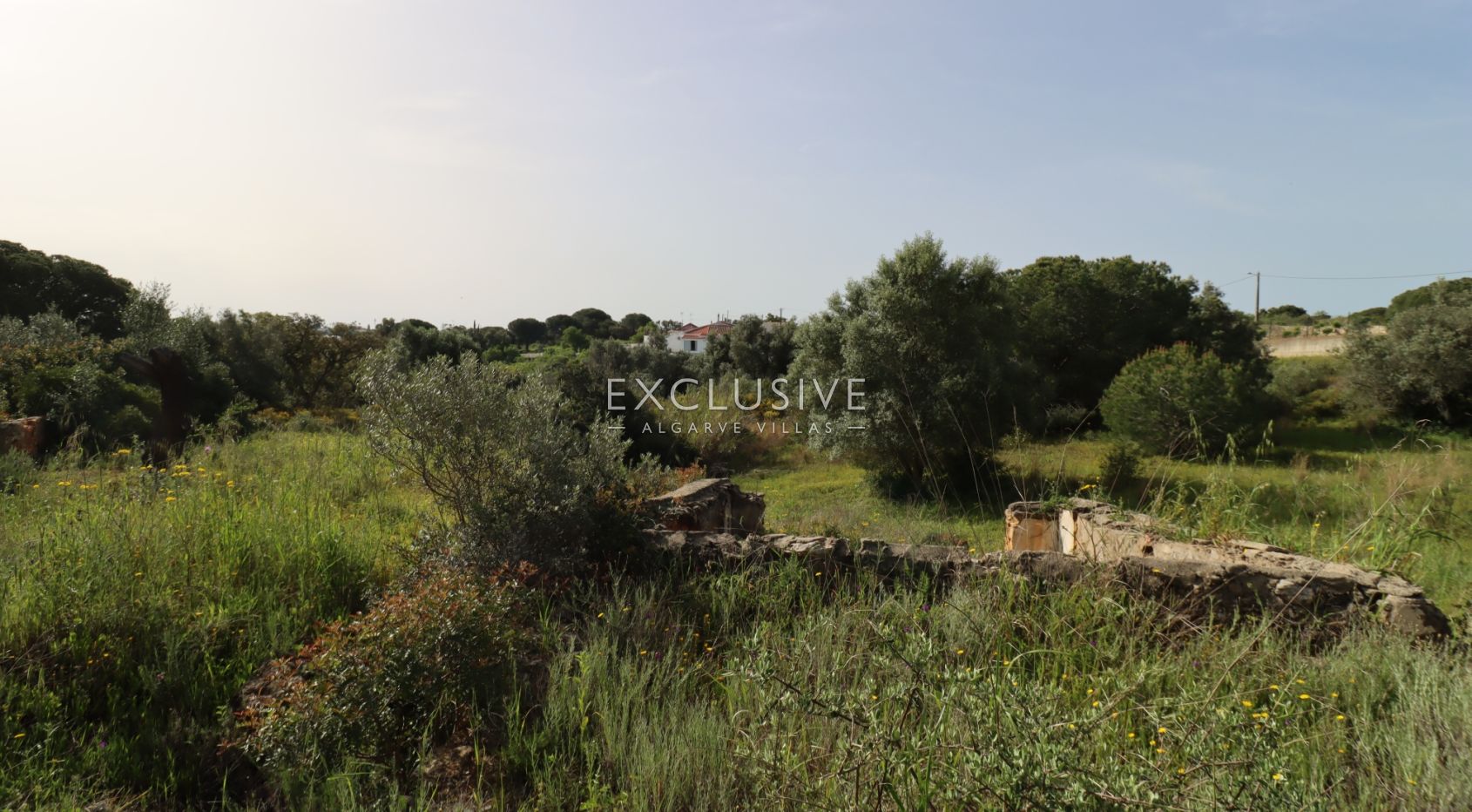 Groot bouwperceel met goedgekeurd project, Lagoa, Algarve
