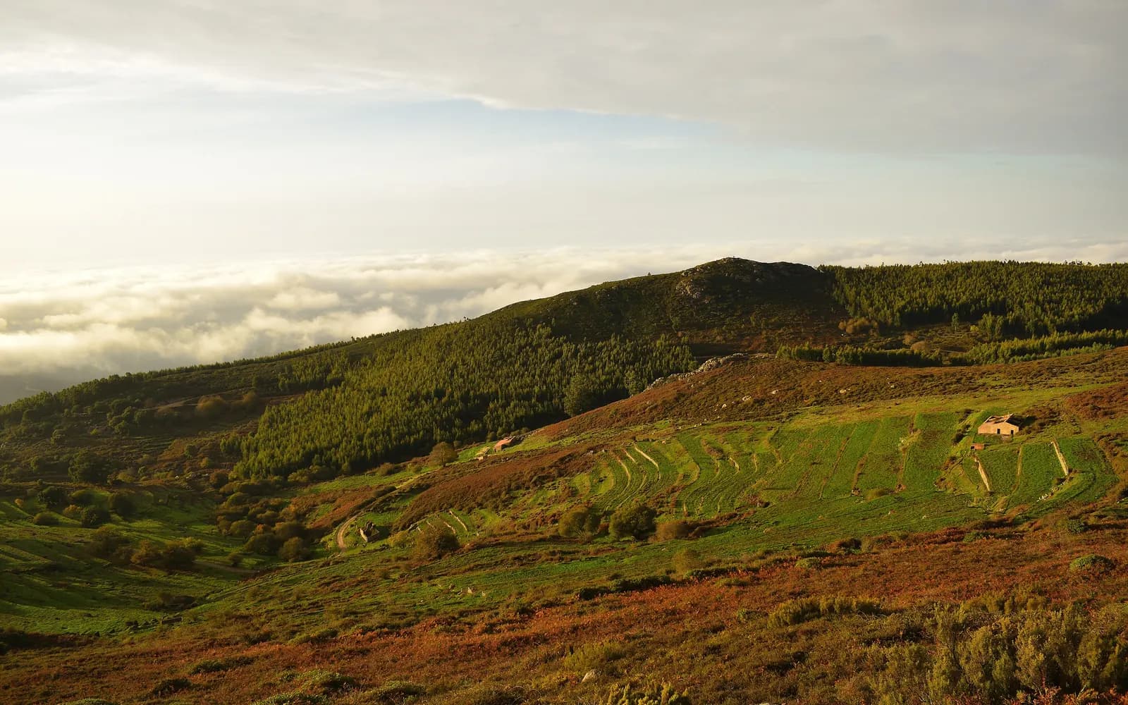 Serra de Monchique
