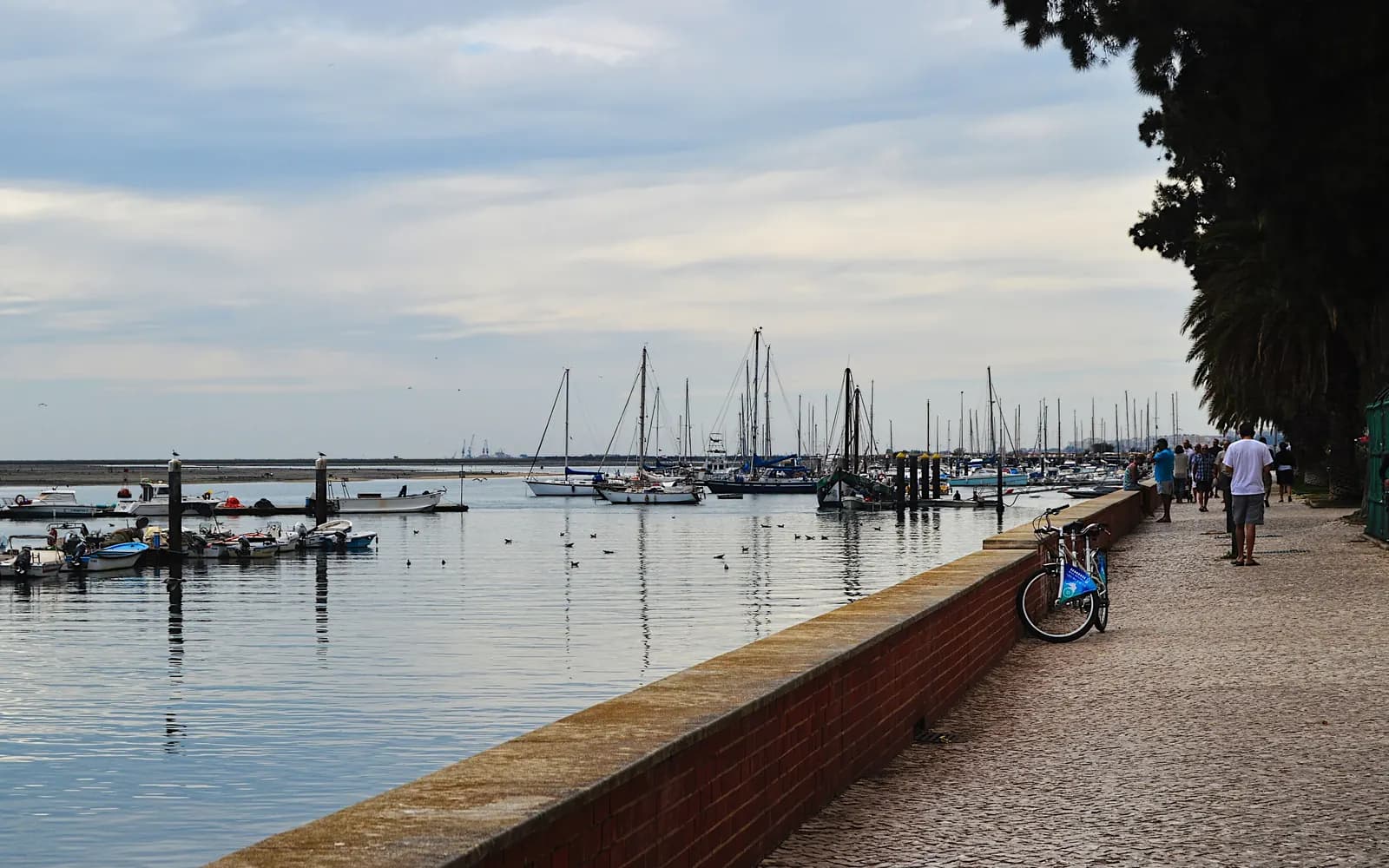 Olhão marina