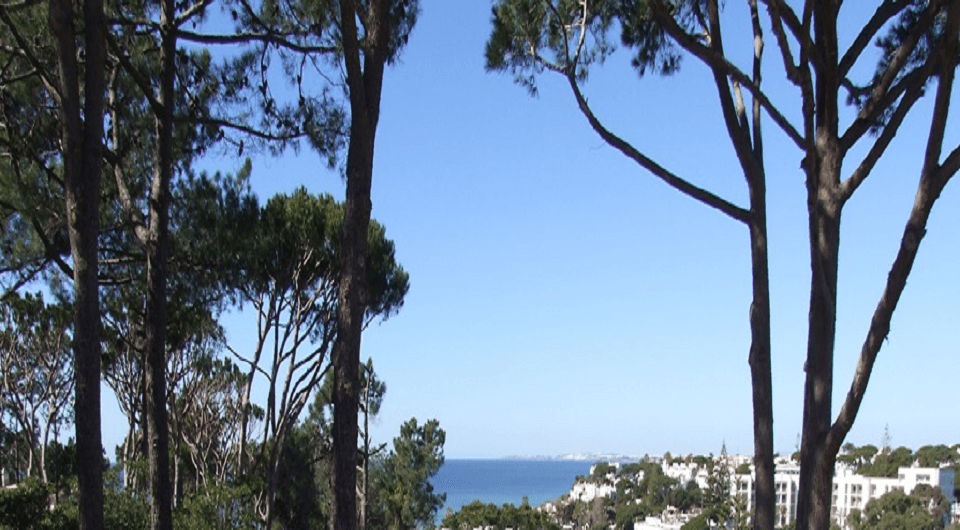 Fantástico terreno com deslumbrante vista mar em Vale do Lobo