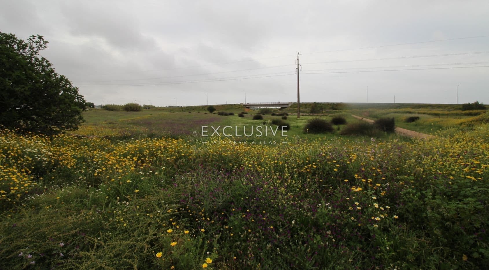 Plot with two ruins near Salgados Golf in Algarve near Praia Grande, near beach