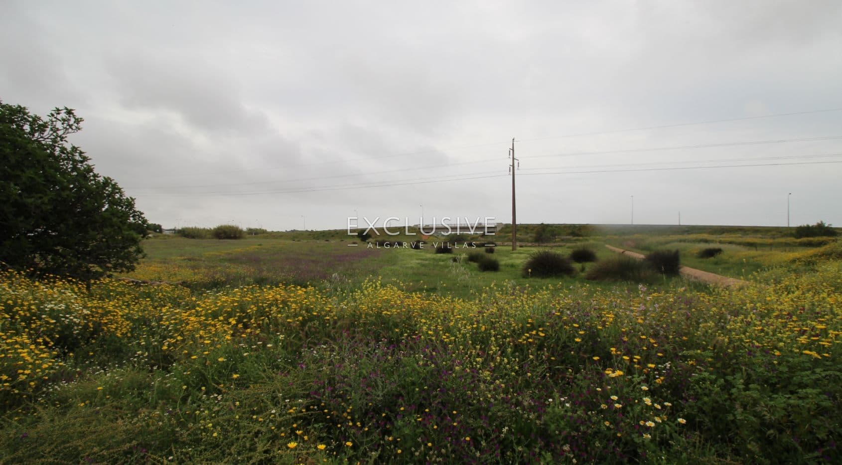 Plot with two ruins near Salgados Golf in Algarve near Praia Grande, near beach