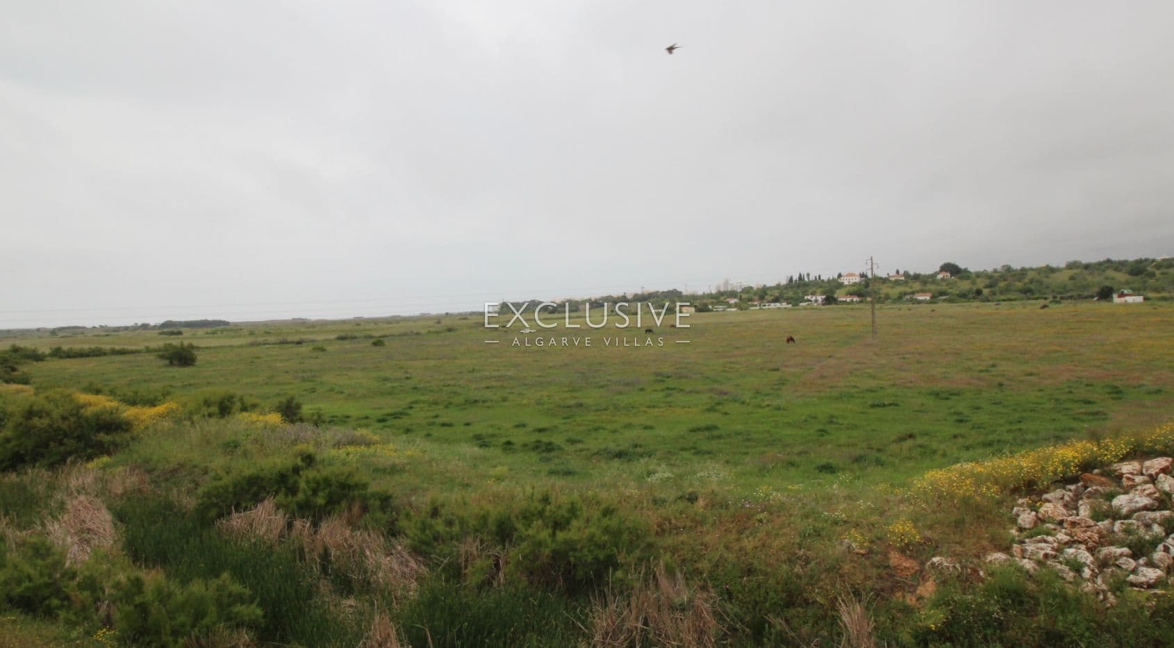 Plot with two ruins near Salgados Golf in Algarve near Praia Grande, near beach