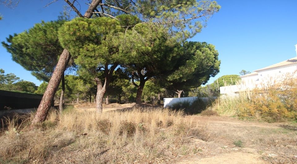 Plot in Varandas do Lago Quinta do Lago