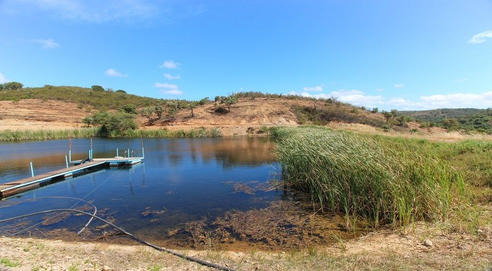 134 hectare plot with approved project for rural tourism hotel near Lagos, Algarve