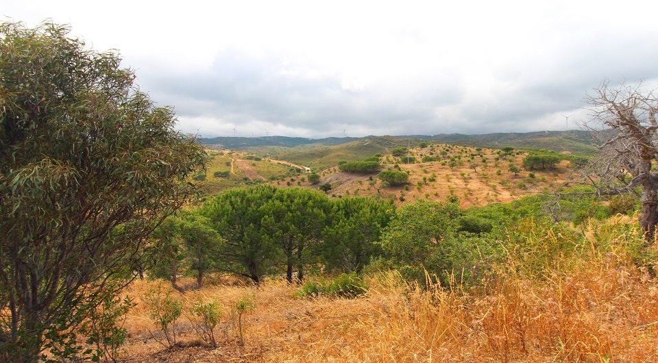 134 hectare plot with approved project for rural tourism hotel near Lagos, Algarve