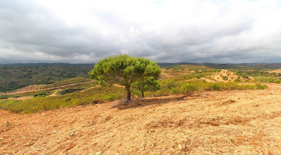 134 hectare plot with approved project for rural tourism hotel near Lagos, Algarve