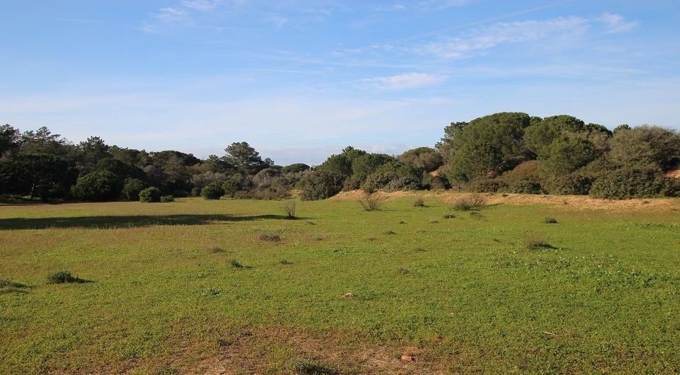 Plot near Caramujeira with ruin, Algarve
