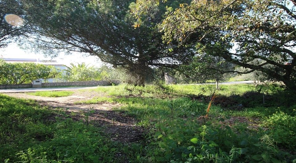 Plot near Caramujeira with ruin, Algarve