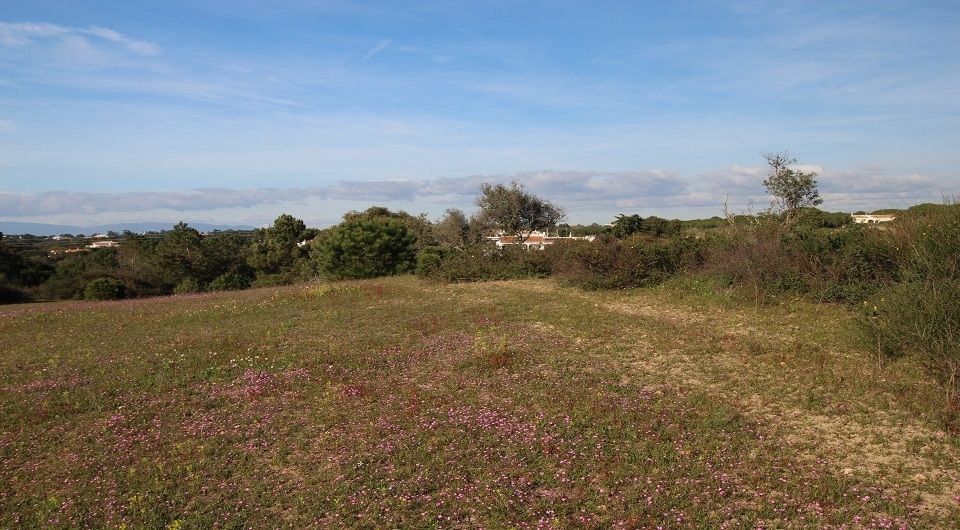 Plot near Caramujeira with ruin, Algarve