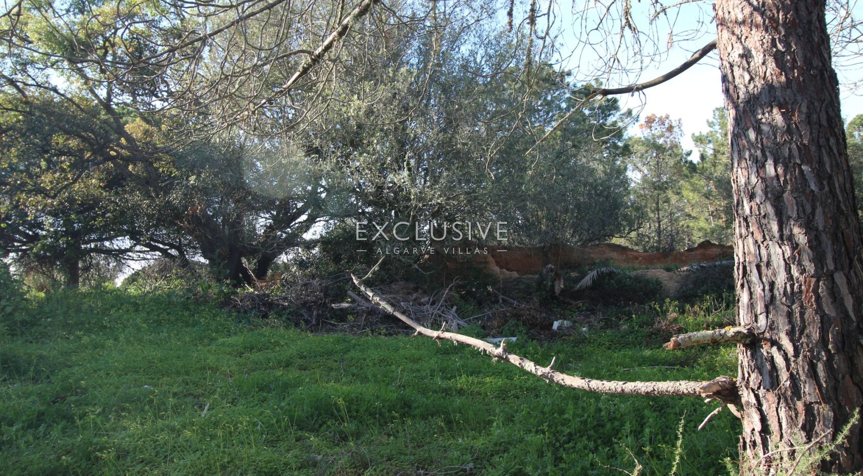 Plot near Caramujeira with ruin, Algarve
