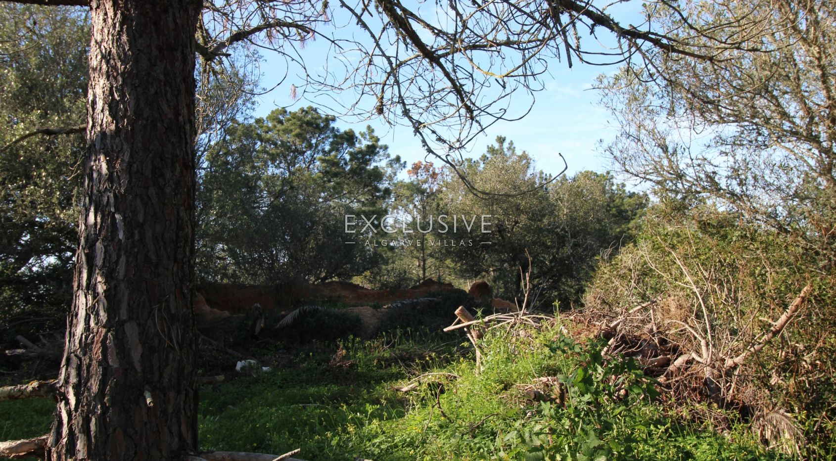 Plot near Caramujeira with ruin, Algarve