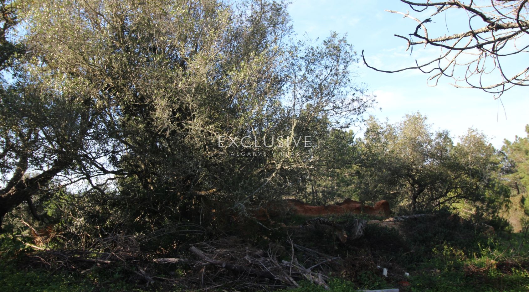 Plot near Caramujeira with ruin, Algarve