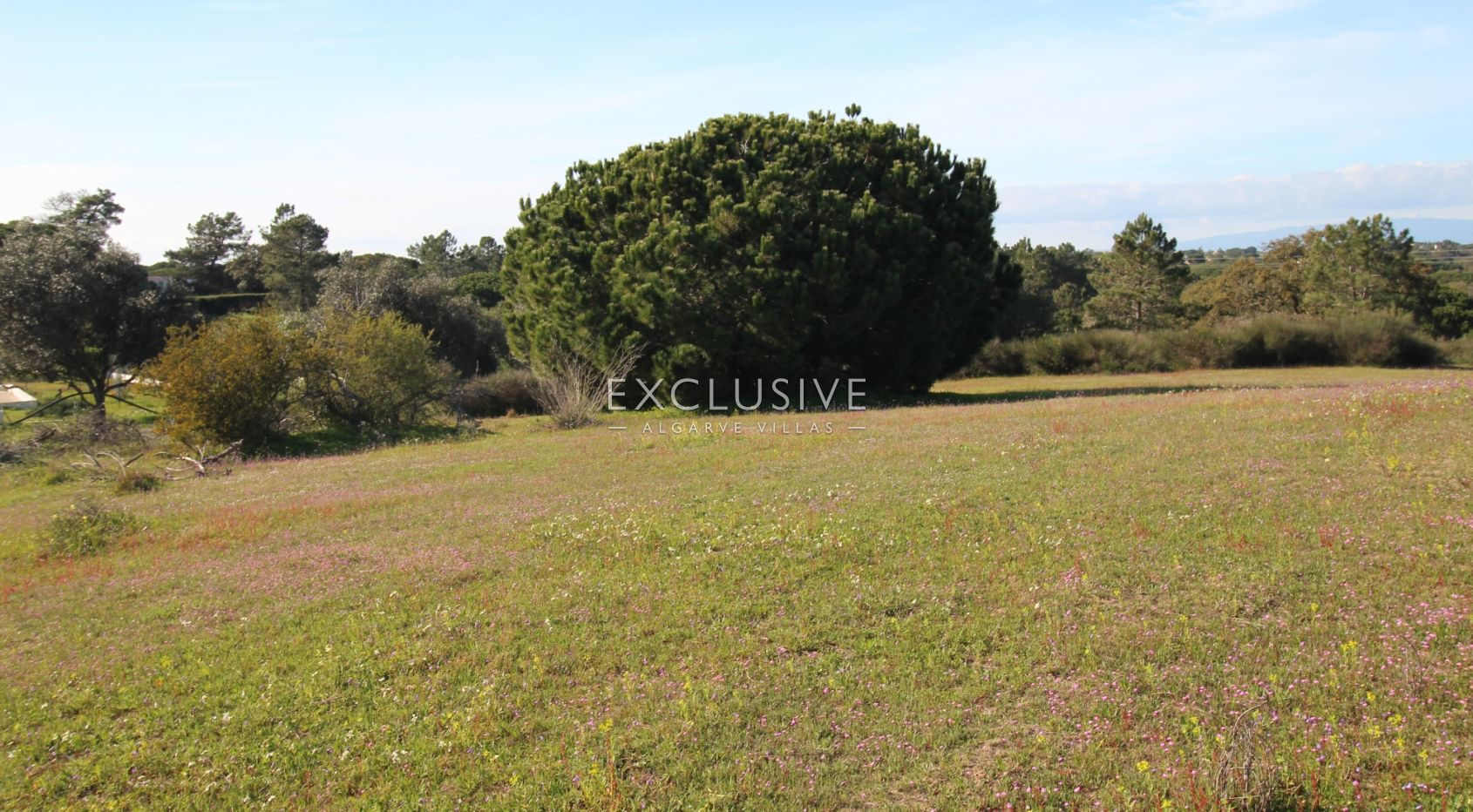 Plot near Caramujeira with ruin, Algarve
